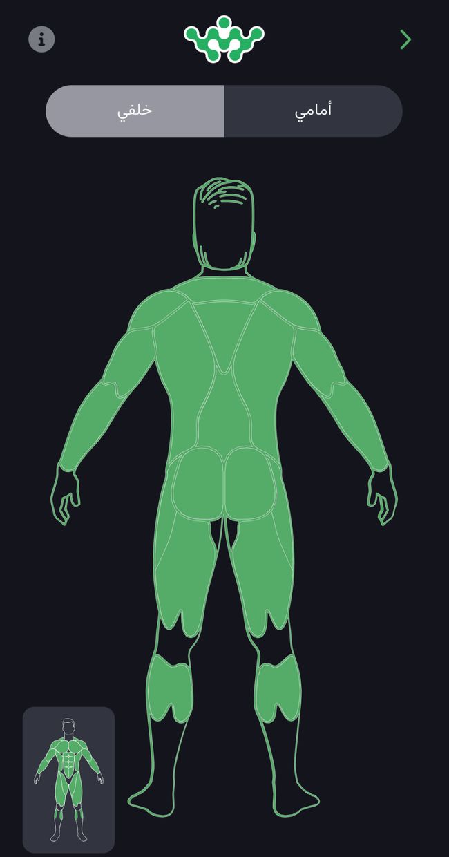 اختيار العضلة - تطبيق ASAS-FIT